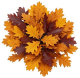 Autuman Palete Oak Leaves Bouquet