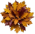 Autuman Palete Oak Leaves Bouquet