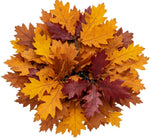 Autuman Palete Oak Leaves Bouquet