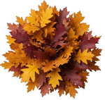 Autuman Palete Oak Leaves Bouquet