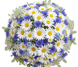 Azure Meadow Bouquet - Flowers Box London