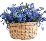 Basket of Blue Forget Me Not - Flowers Box London