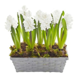 Basket of Hyacinth - Flowers Box London