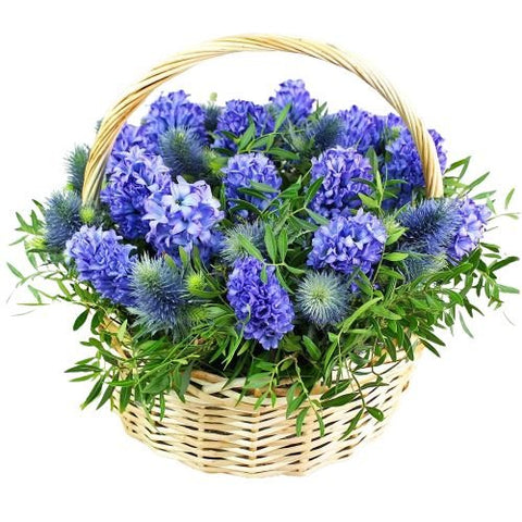 Basket of Hyacinth and Thistle with Greenery - Flowers Box London