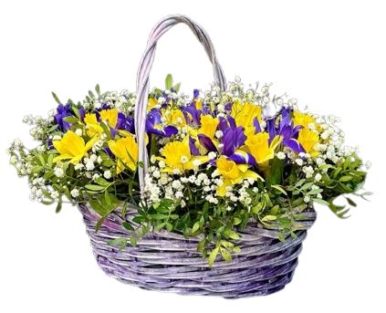 Basket of Iris and Daffodils with Gypsophila