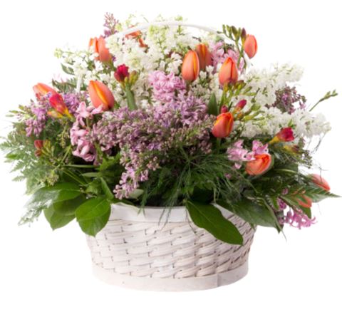 Basket of Lilac and Orange Tulips