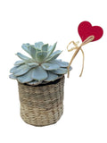 Basket of Succulent with Heart Pick - Flowers Box London