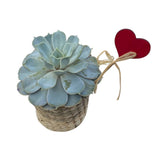 Basket of Succulent with Heart Pick - Flowers Box London