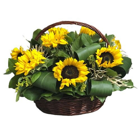 Basket of Sunflowers with Greenery - Flowers Box London