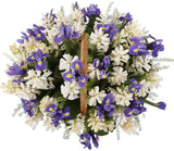 Basket of White Hyacinth and Blue Irises - Flowers Box London