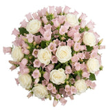 Beautiful Bouquet of Pink Campanula and White Roses - Flowers Box London