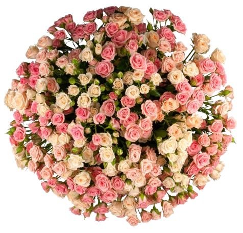 Bi - colored Spray Roses Flower Bouquet - Flowers Box London