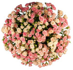 Bi-colored Spray Roses Flower Bouquet