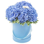 Bird on Blue Flower Box