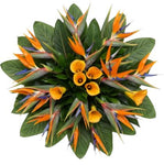 Birds of Paradise and Calla Lily Flowers Bouquet