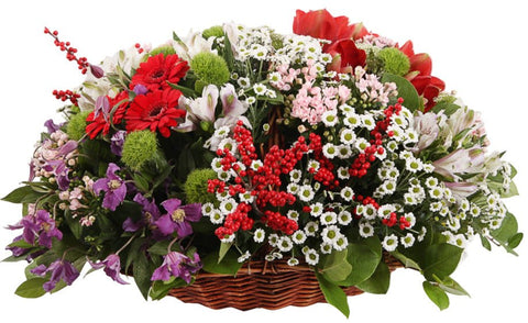 Blossoms of Ruby Delight Basket - Flowers Box London