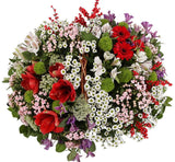 Blossoms of Ruby Delight Basket - Flowers Box London