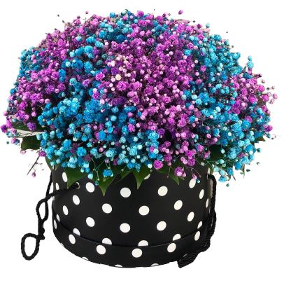 Blue and Purple Baby's Breath Box