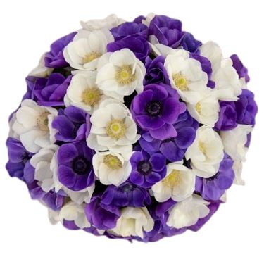 Blue and White Anemone Bouquet - Flowers Box London