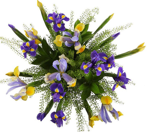 Blue and Yellow Iris Bouquet