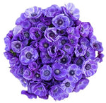 Blue Anemone Bouquet