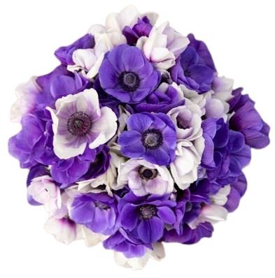 Blue Azzurro Anemone Bouquet - Flowers Box London