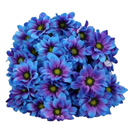 Blue Chrysanthemum Bouquet