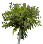 Blue Forget Me Not Bouquet