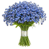 Blue Forget Me Not Bouquet - Flowers Box London