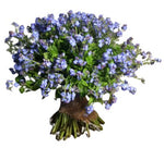 Blue Forget Me Not Bouquet