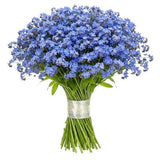 Blue Forget Me Not Bouquet - Flowers Box London
