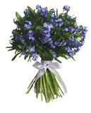 Blue Forget Me Not Bouquet
