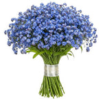 Blue Forget Me Not Bouquet