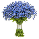 Blue Forget Me Not Bouquet