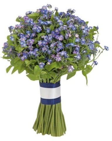 Blue Forget Me Not Bridal Bouquet - Flowers Box London
