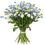 Blue Forget Me Not with Fragrant Stocks Bouquet