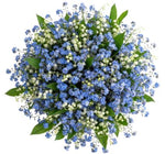 Blue Forgot Me Not and Convallaria Bouquet
