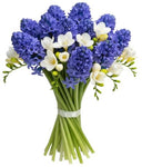 Blue Hyacinth and Freesias Bouquet