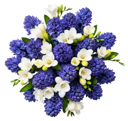 Blue Hyacinth and Freesias Bouquet