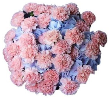Blue Hydrangea with Carnations Bouquet - Flowers Box London