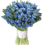 Blue Muscari Cute Bouquet