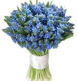 Blue Muscari Cute Bouquet