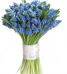 Blue Muscari Cute Bouquet