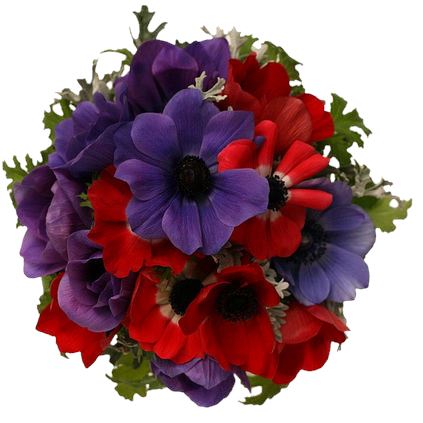 Blue & Red Anemone Bouquet - Flowers Box London