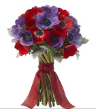 Blue & Red Anemone Bouquet - Flowers Box London