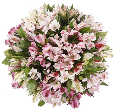 Blush Pink and White Alstoemeria Bouquet
