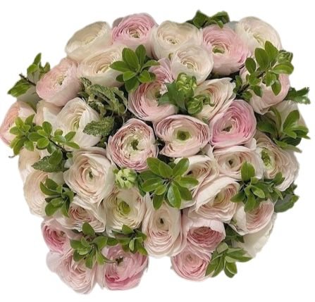Blush Pink Ranunculus with Greenery Bouquet - Flowers Box London