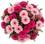 Blushing Belle Bouquet
