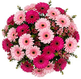 Blushing Belle Bouquet