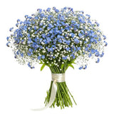 Bouquet Blue Forget Me Not with Gypsophila